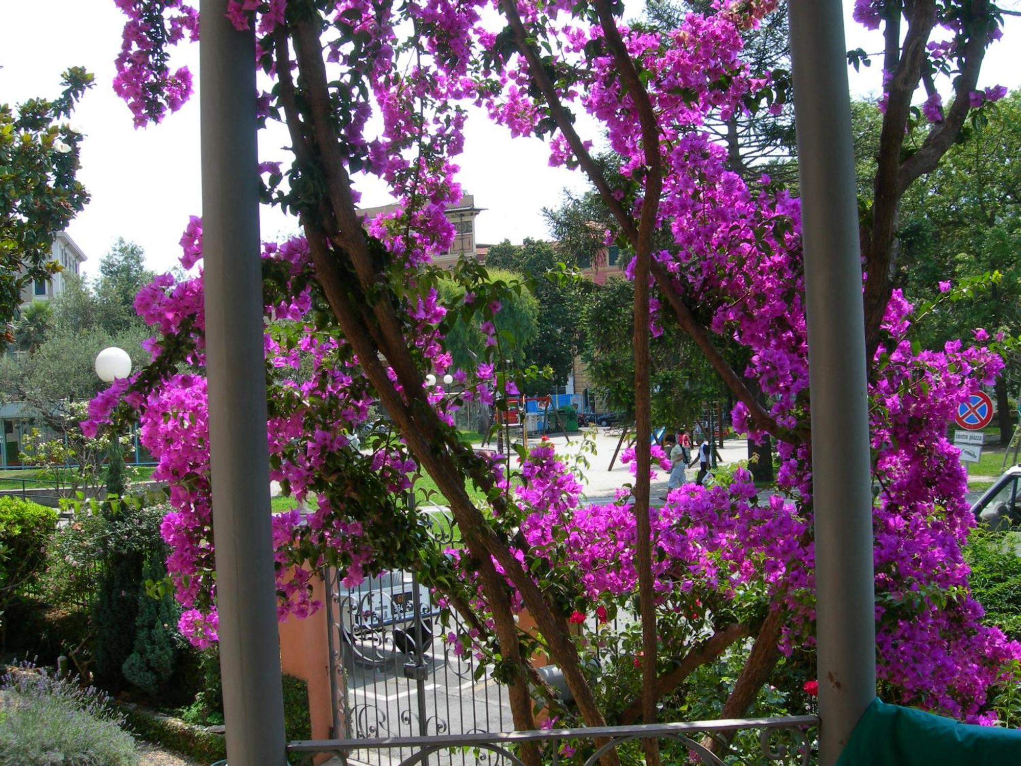 Bed and Breakfast La Casa Dei Paggi Sestri Levante Exterior foto